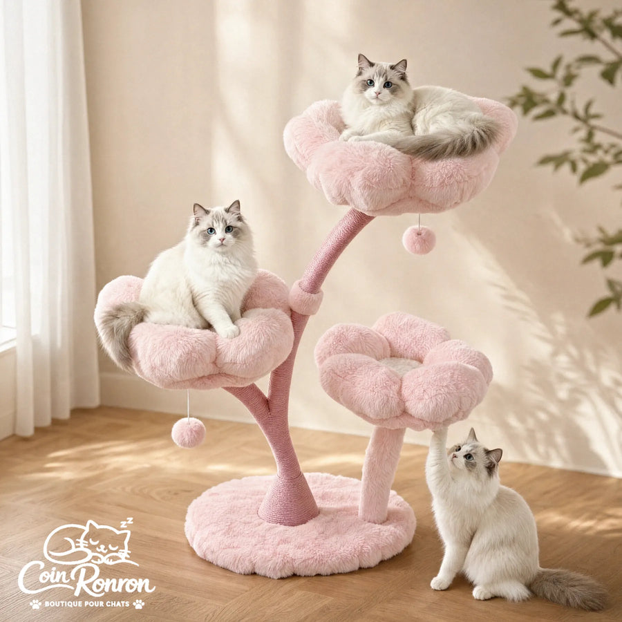 Arbre à chat fleur rose XXL Coin Ronron avec trois chats Ragdoll sur les plateformes moelleuses